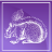 SmallSquirrel